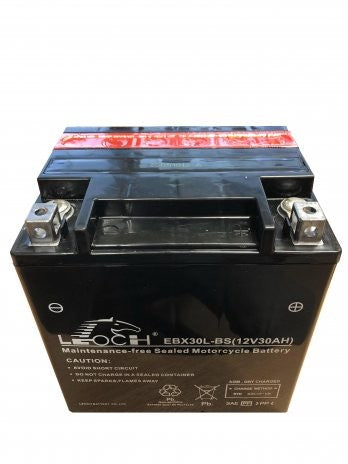 Battery | YTX30-LBS