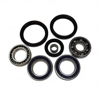 Differential Bearing And Seal Kit - Arctic Cat 500 ( Rear )